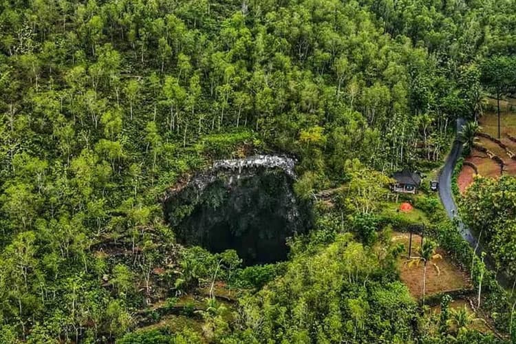 Menelusuri Keindahan Gua Luweng Ombo Pacitan, Gua Terdalam di Pulau Jawa
