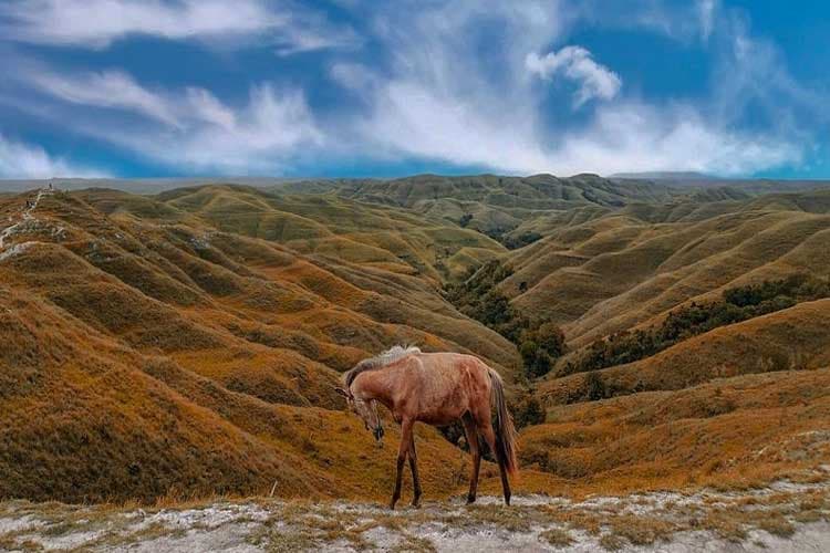 Menjelajahi Pesona Bukit Wairinding di Sumba Timur