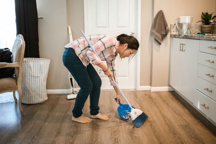 Rumah Bebas Tikus Tanpa Repot: Coba Cara-cara Ampuh Ini!